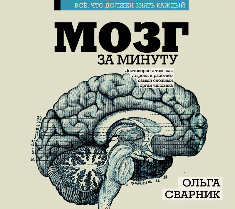 Обложка книги Мозг за минуту