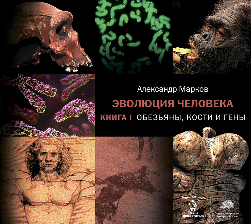 Обложка книги Эволюция человека. Книга 1. Обезьяны, кости и гены