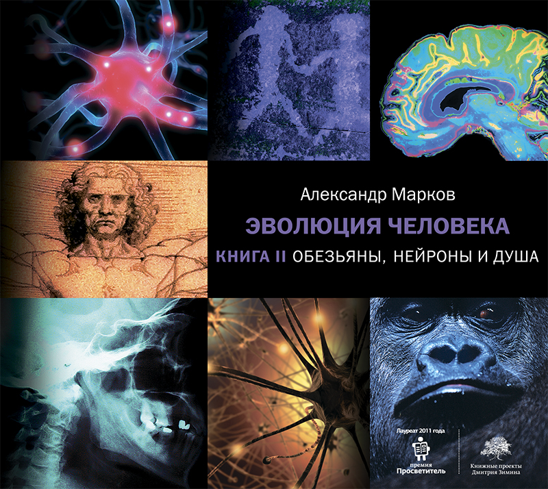 Обложка книги Эволюция человека. Книга 2. Обезьяны, нейроны и душа